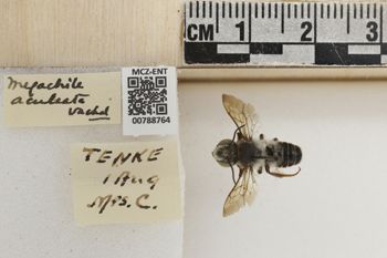 Media type: image;   Entomology 788764 Aspect: Labels